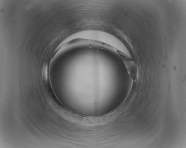 X0000083610027200702260939