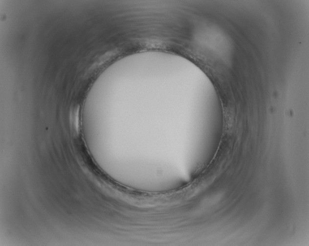 X0000083610028200702260939