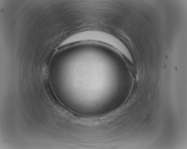 X0000083610029200702260939