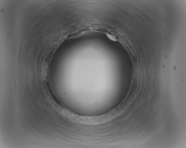 X0000083610030200702260939