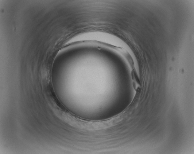 X0000083610031200702260939