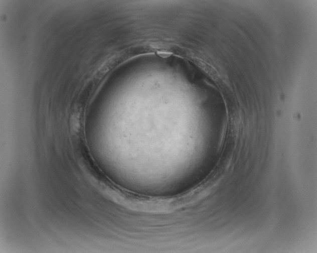 X0000083610032200702260939