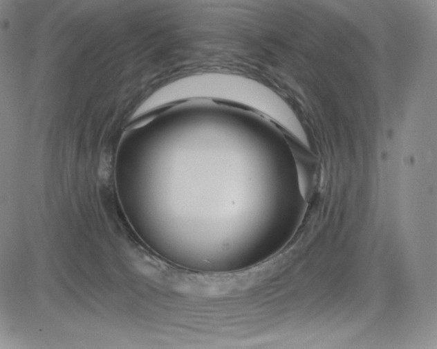 X0000083610033200702260939