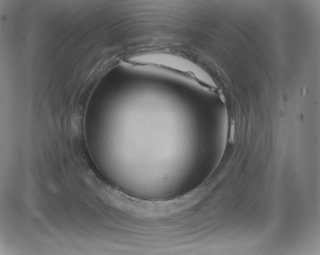 X0000083610035200702260939