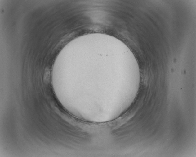 X0000083610036200702260939