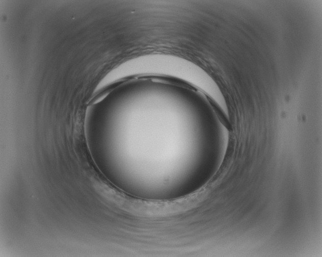 X0000083610037200702260939