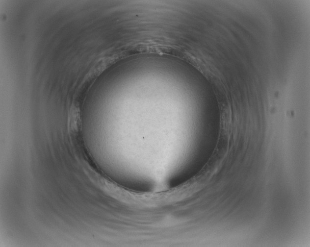 X0000083610038200702260939