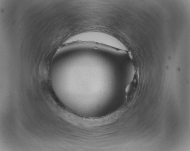 X0000083610039200702260939