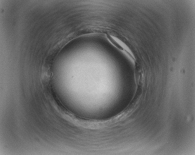 X0000083610040200702260939