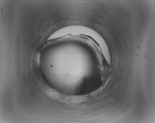 X0000083610041200702260939