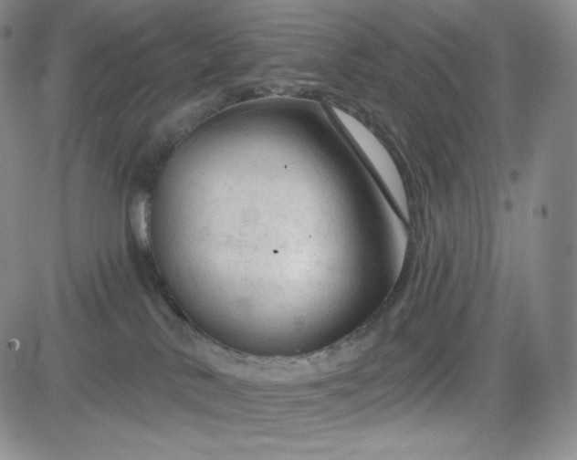 X0000083610042200702260939