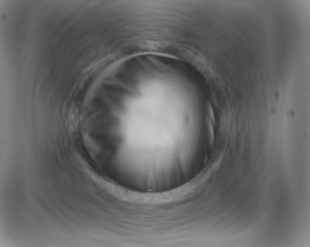 X0000083610043200702260939