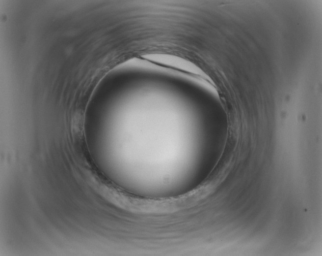 X0000083610044200702260939