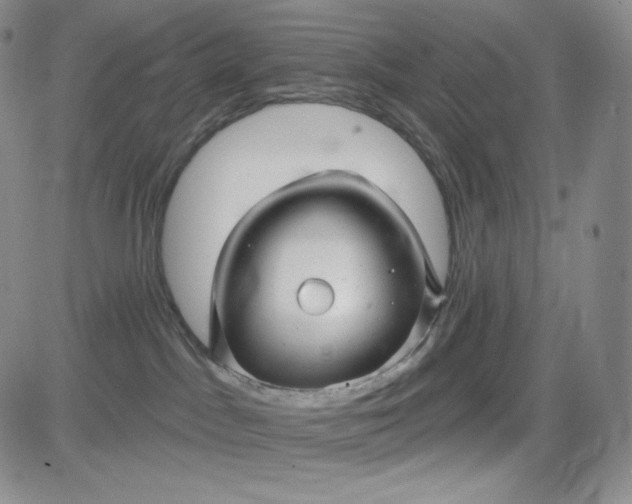 X0000083610045200702260939