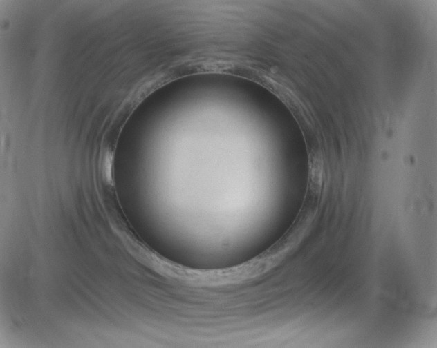 X0000083610046200702260939