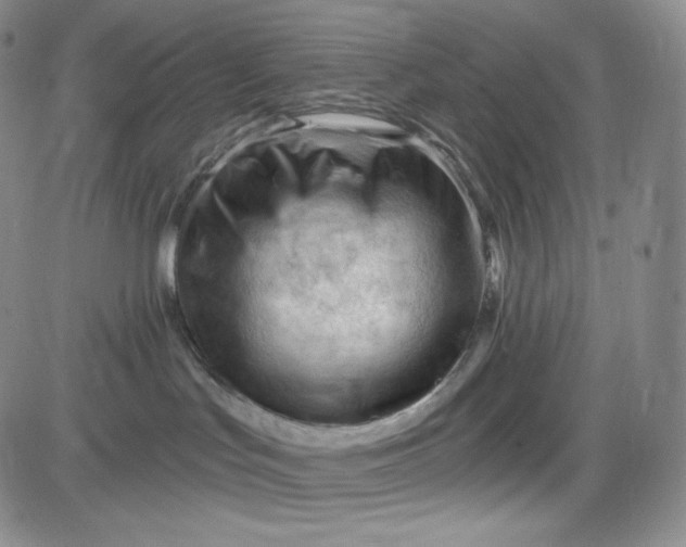 X0000083610047200702260939