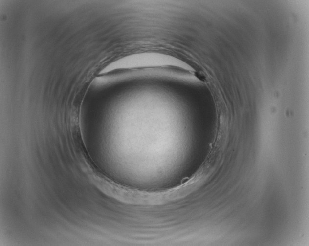 X0000083610048200702260939