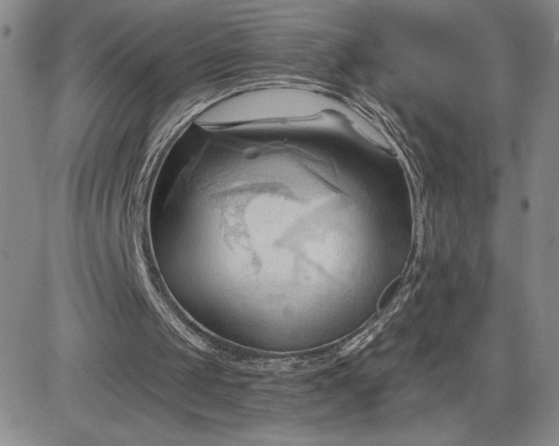 X0000083610049200702260938