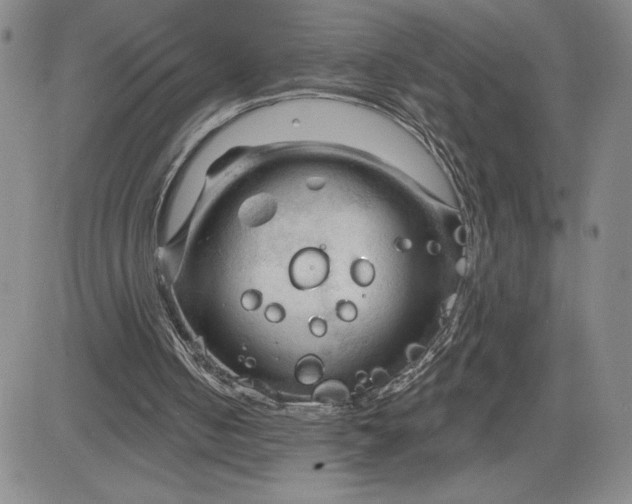 X0000083610050200702260938