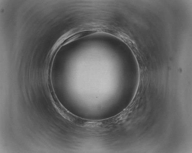 X0000083610051200702260938