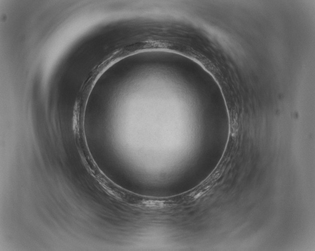 X0000083610052200702260938