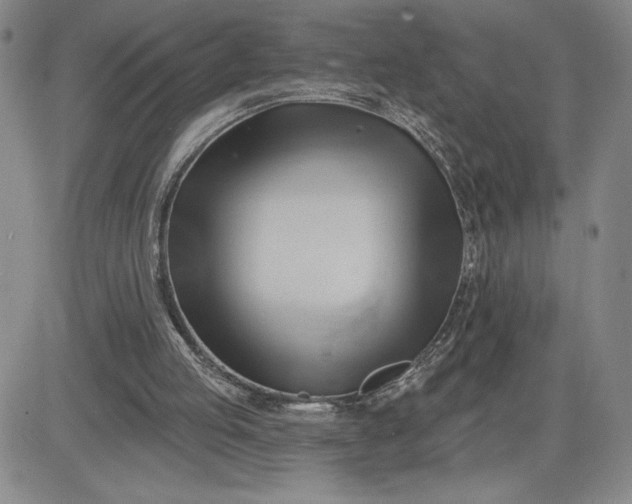 X0000083610053200702260938