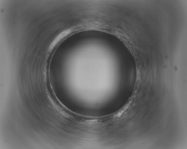 X0000083610054200702260938