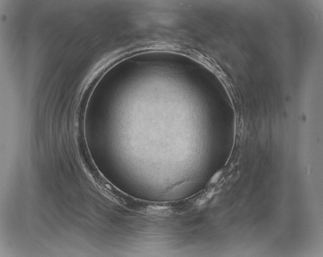 X0000083610055200702260938