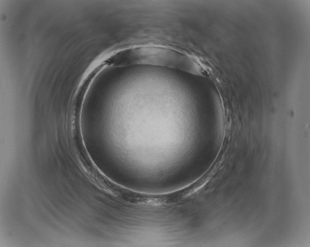 X0000083610056200702260938