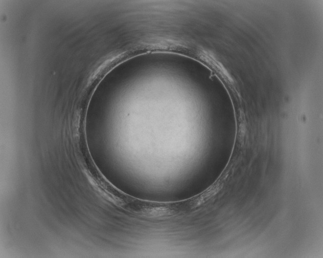 X0000083610058200702260938