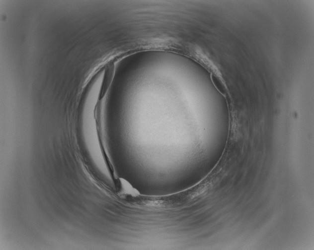 X0000083610059200702260938