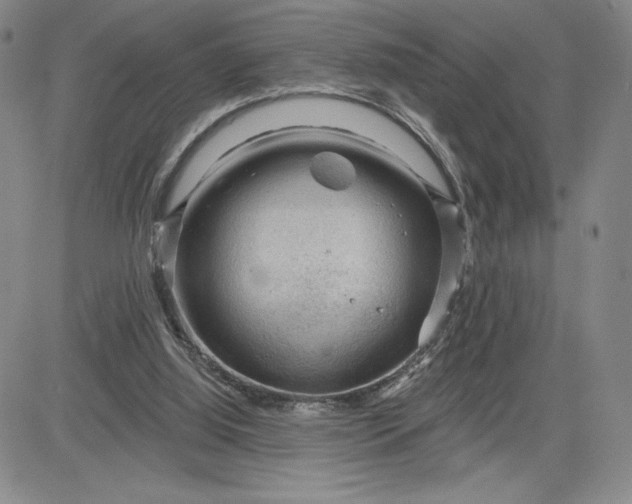 X0000083610060200702260938