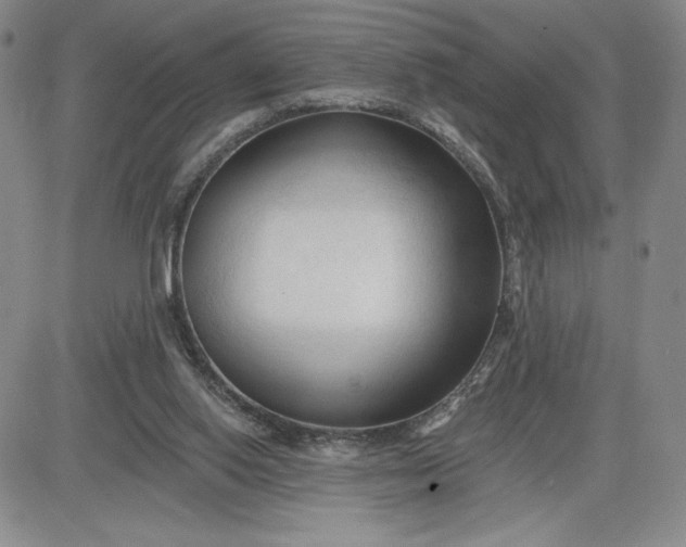 X0000083610062200702260938