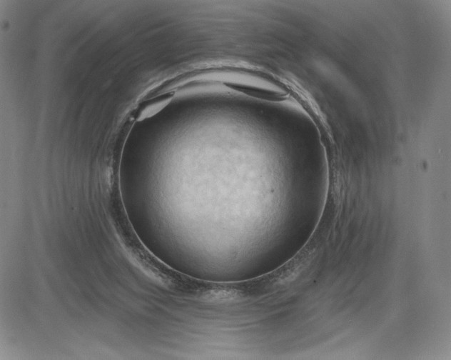 X0000083610063200702260938