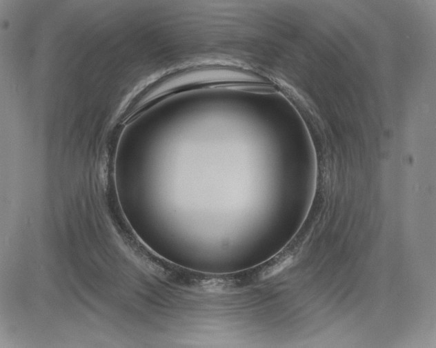 X0000083610064200702260938