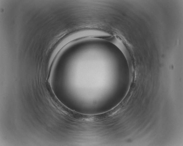 X0000083610068200702260938