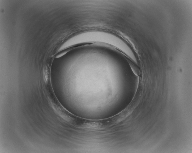 X0000083610069200702260938