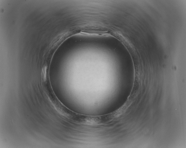 X0000083610070200702260938