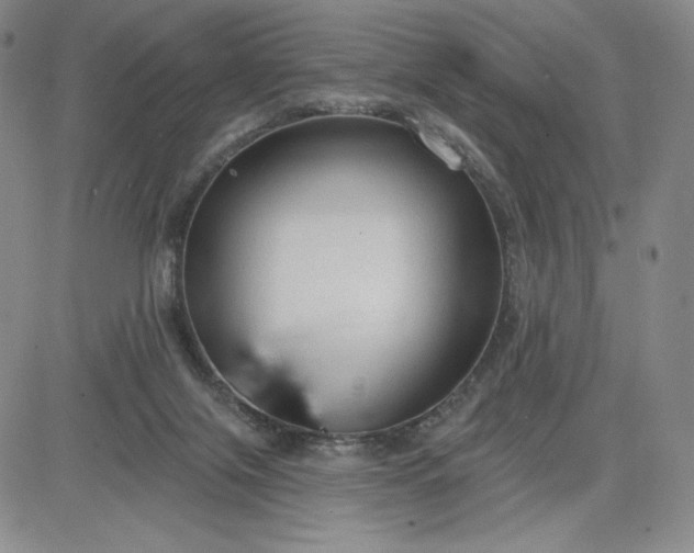 X0000083610071200702260938