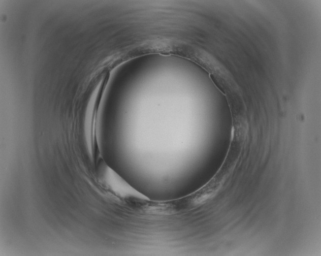 X0000083610072200702260938