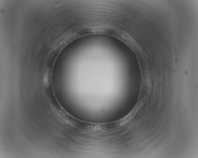 X0000083610074200702260938