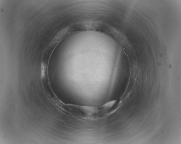 X0000083610075200702260938