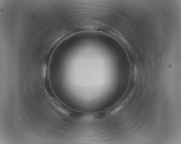 X0000083610076200702260938