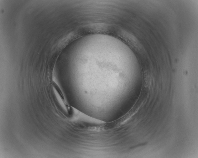 X0000083610077200702260939