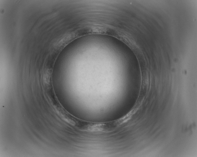 X0000083610078200702260939