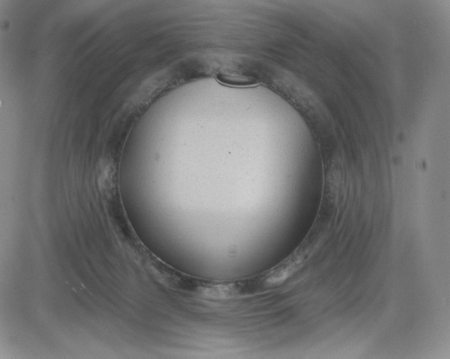 X0000083610079200702260939