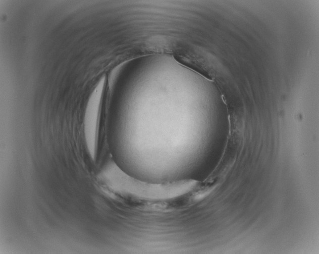 X0000083610080200702260939