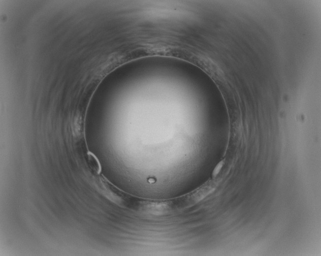 X0000083610081200702260939