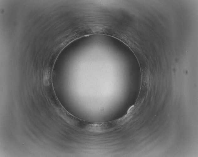 X0000083610082200702260939