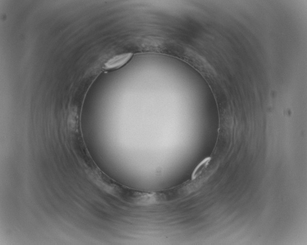 X0000083610083200702260939